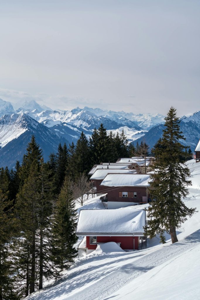 Chalet des Sapins